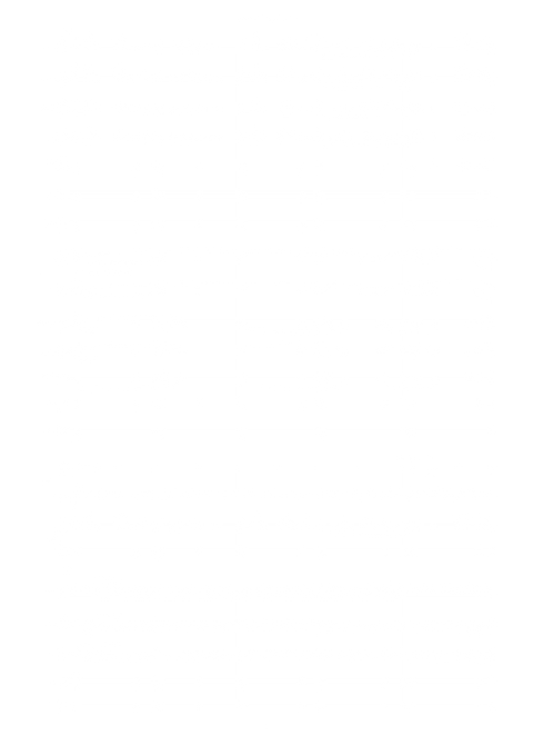 Igniting Kites & Flying Fireworks